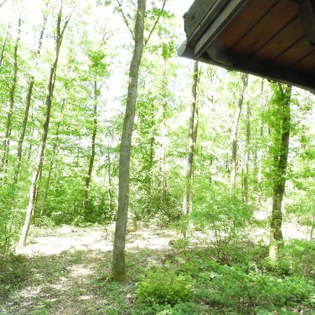 Oignies Chalet Louislolaヴィラ エクステリア 写真